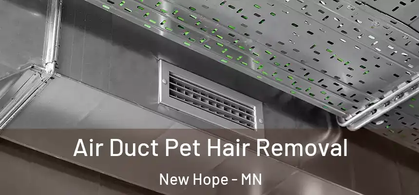 Air Duct Pet Hair Removal New Hope - MN