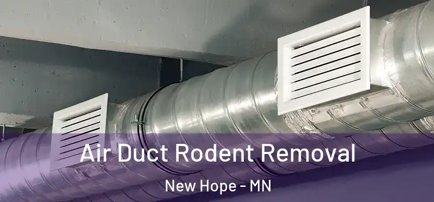  Air Duct Rodent Removal New Hope - MN