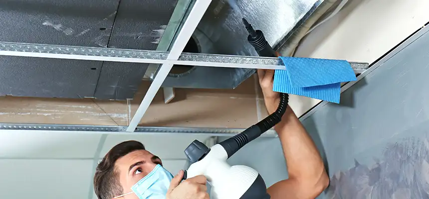 Our Air Duct Rodent Removal Services in New Hope, MN