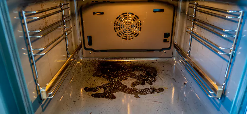 Our Dryer Vent Mold Cleaning Services in New Hope, MN