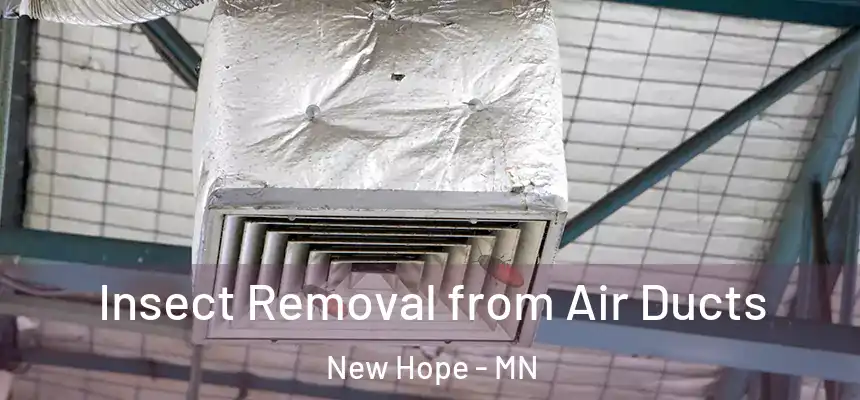  Insect Removal from Air Ducts New Hope - MN