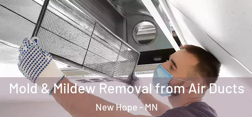 Mold & Mildew Removal from Air Ducts New Hope - MN