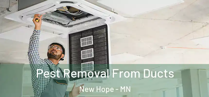  Pest Removal From Ducts New Hope - MN
