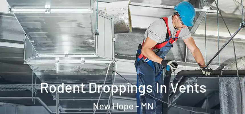  Rodent Droppings In Vents New Hope - MN