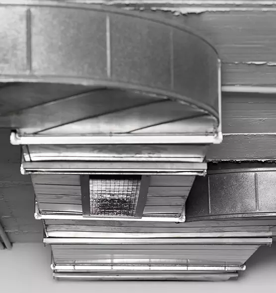 Professional Air Duct Pest Removal in New Hope, MN