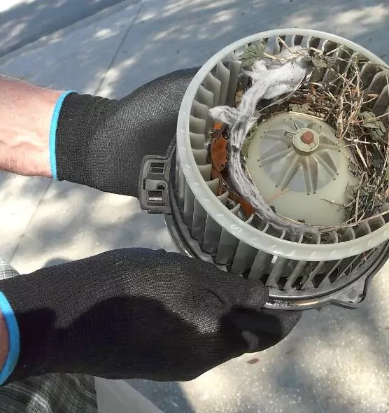 About Air Duct Rat Removal in New Hope, MN