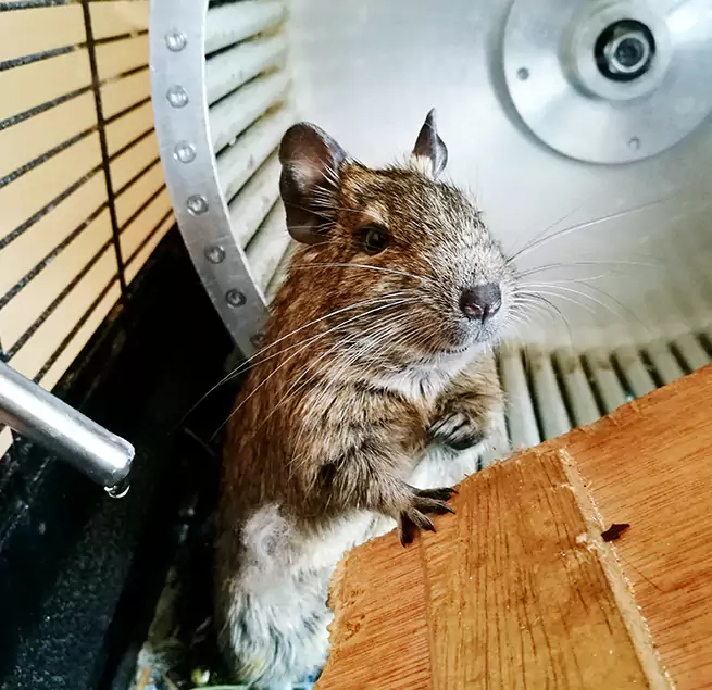 Why Homeowners & Businesses Trust Us New Hope, MN