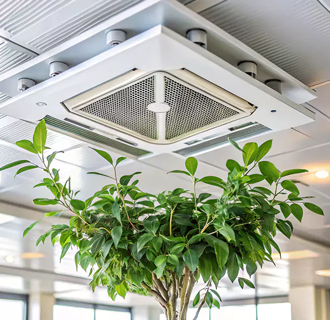 Why Homeowners & Businesses Trust Us in New Hope, MN?