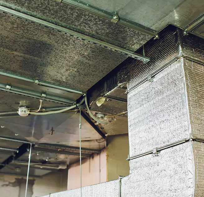 Why Homeowners & Businesses Trust Us in New Hope, MN?